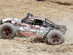 Losi Desert Buggy XL 1:5 4WD RTR